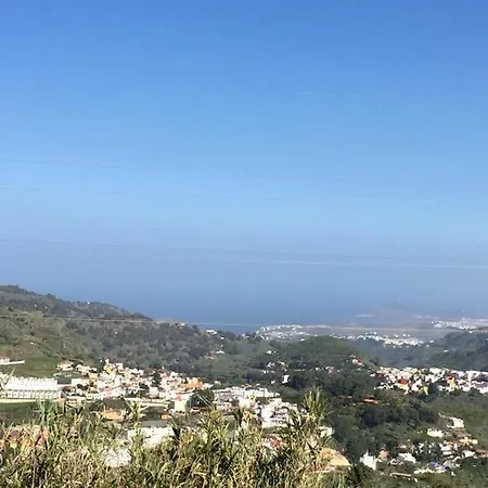 Charming House In With Garden *